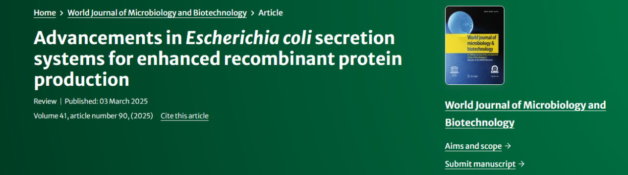 Advancements in Escherichia coli secretion systems for enhanced recombinant protein production