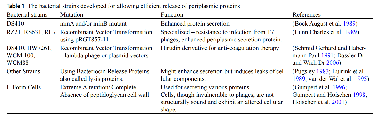Advancements in Escherichia coli secretion systems for enhanced recombinant protein production