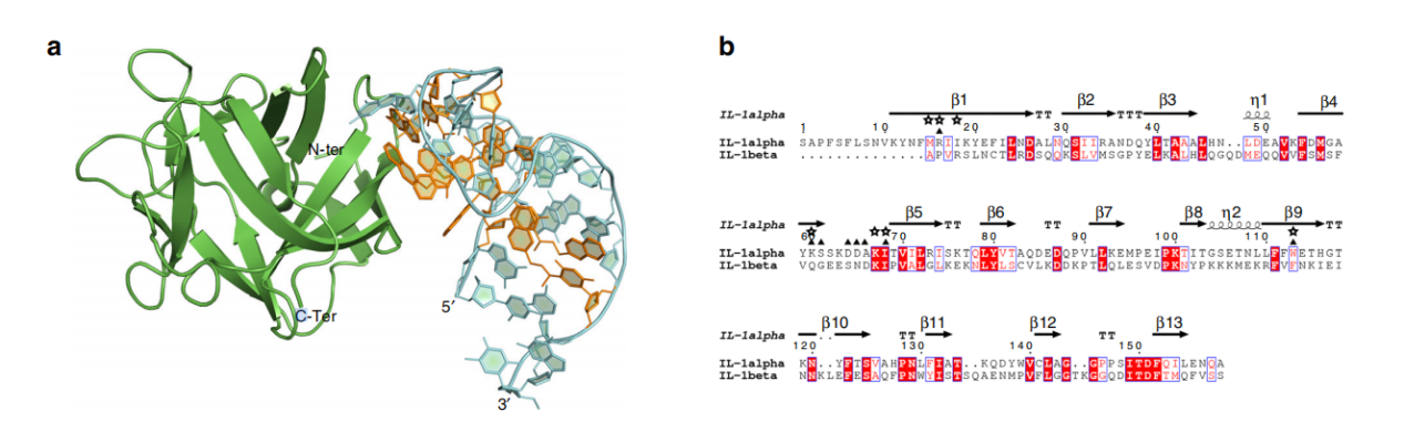 Alarm cytokine IL1A