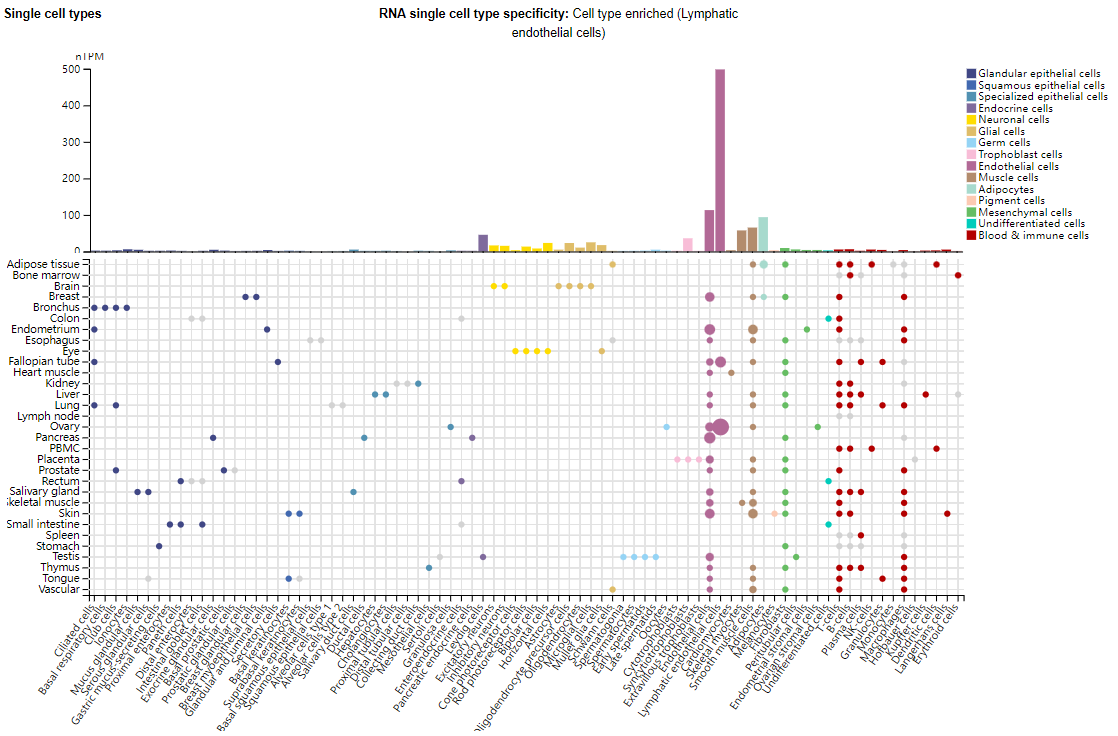 Angiogenesis regulatory target ANGPT2