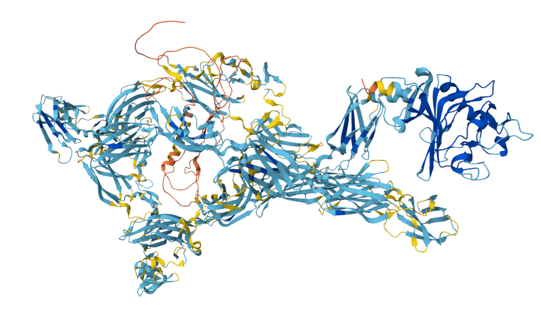 Angiogenesis regulatory target TNC