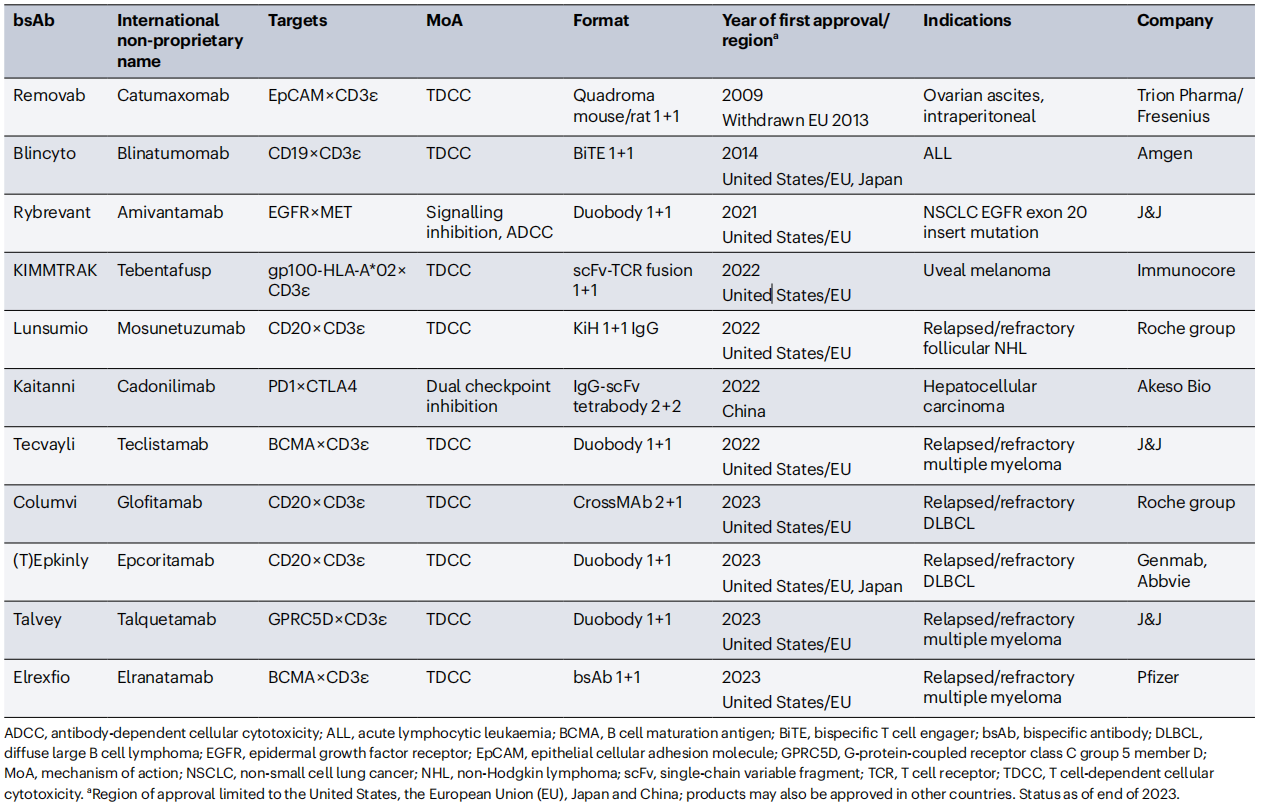 Antibody engineering series bispecific antibody