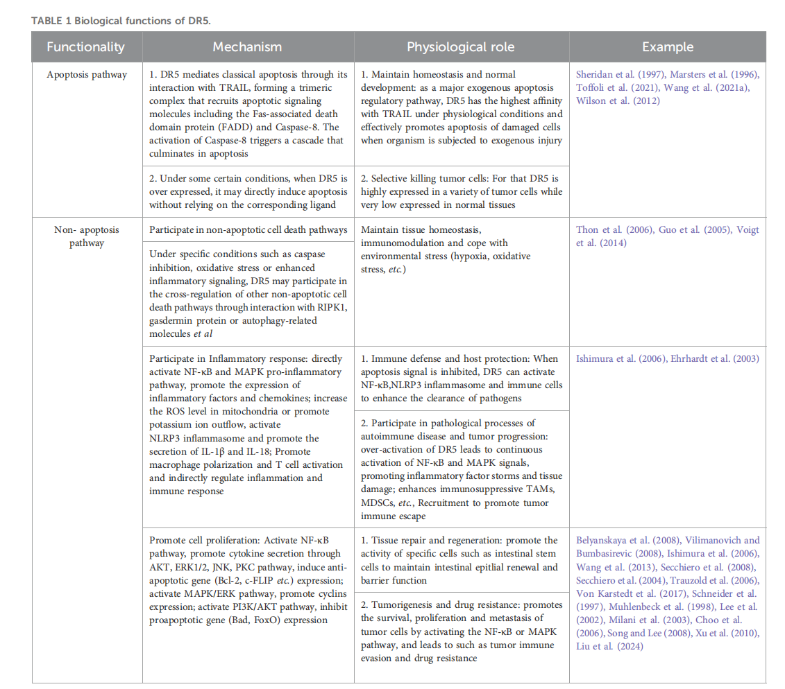 Apoptosis initiating receptor DR5