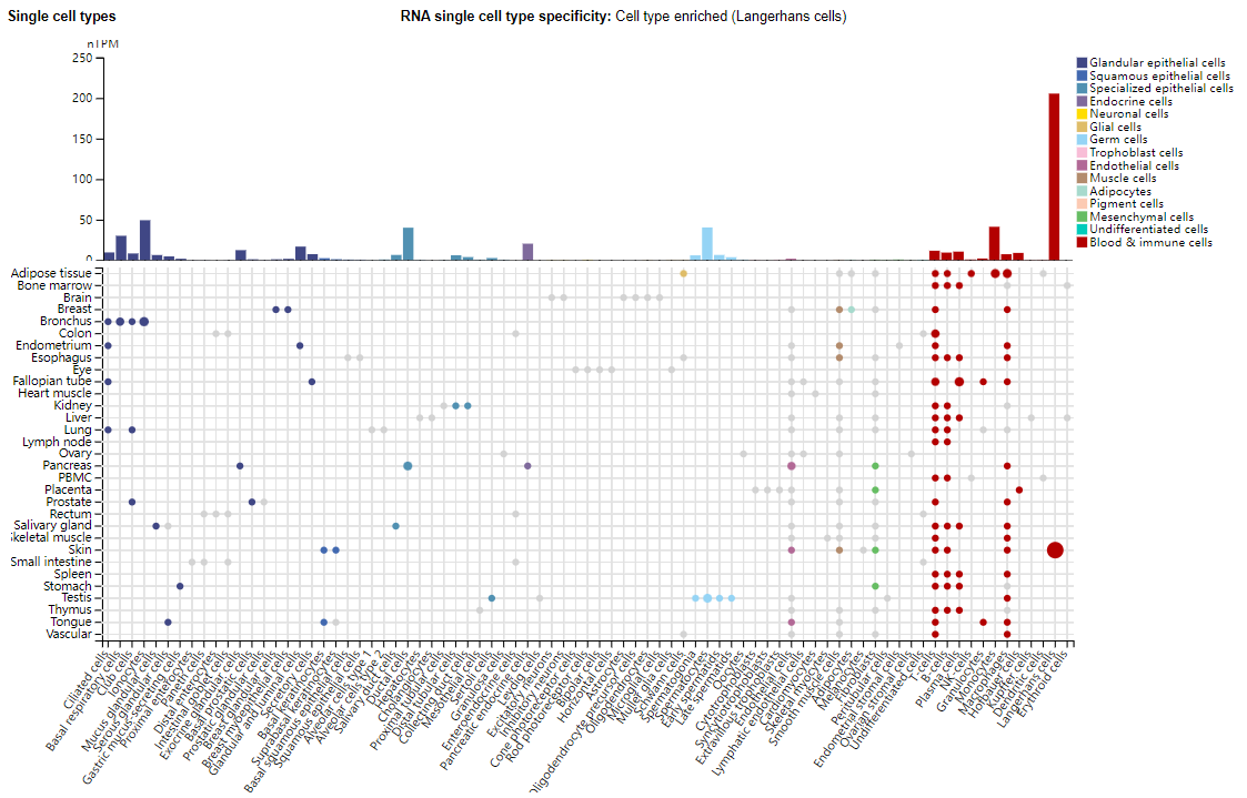 Autoimmune disease treatment target IL23A