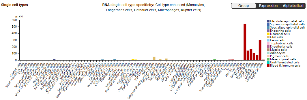 B-cell activating factor BAFF B-cell activating factor BAFF