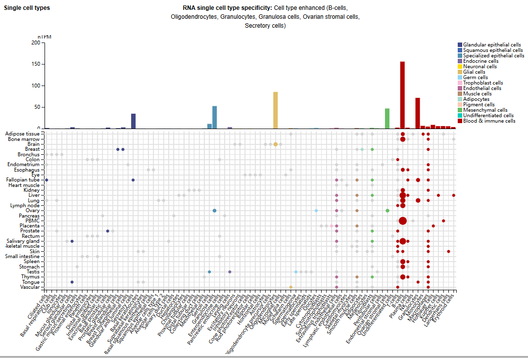 B cell immobilization receptor CD22