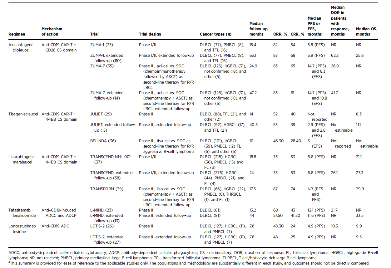 B-lymphocyte marker CD19 B-lymphocyte marker CD19