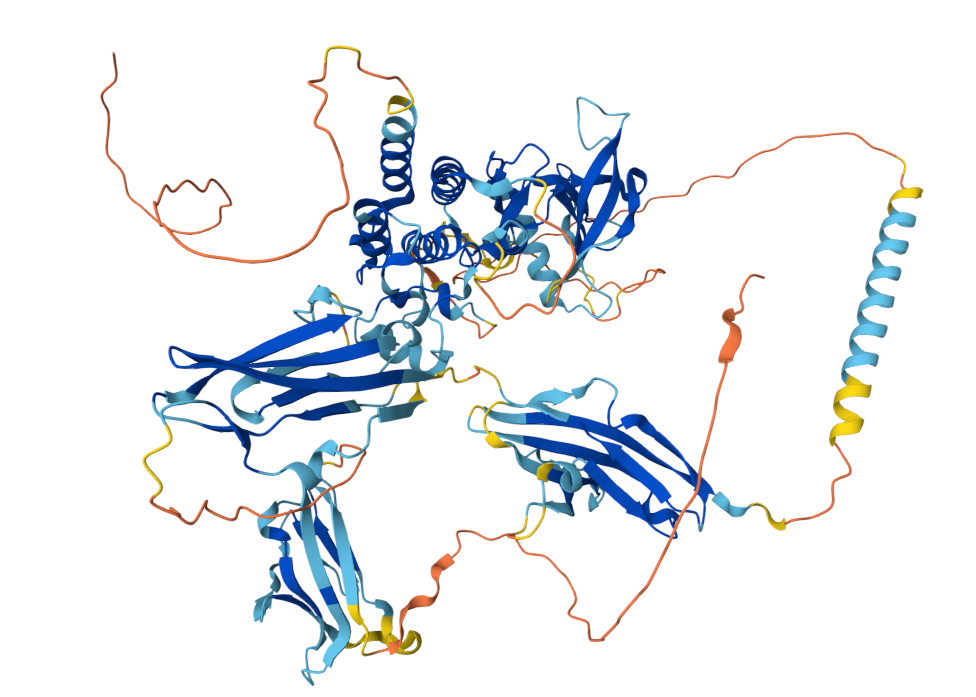 Bladder Cancer Treatment Target FGFR3 Bladder Cancer Treatment Target FGFR3