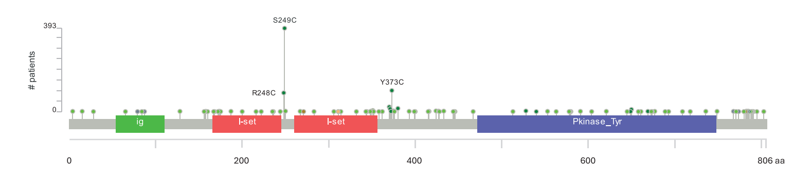 Bladder Cancer Treatment Target FGFR3 Bladder Cancer Treatment Target FGFR3