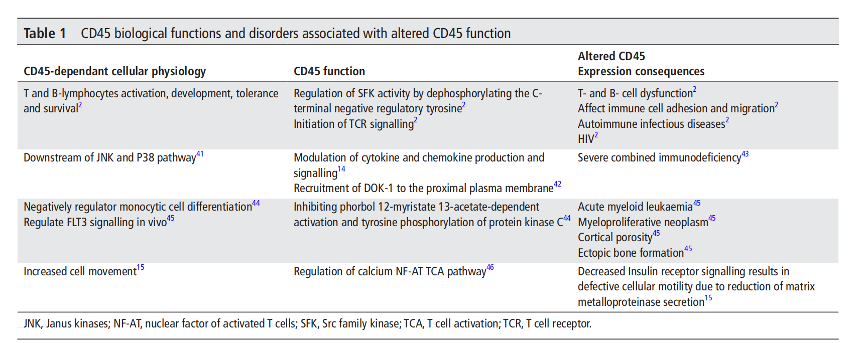 Blood cancer therapeutic target CD45