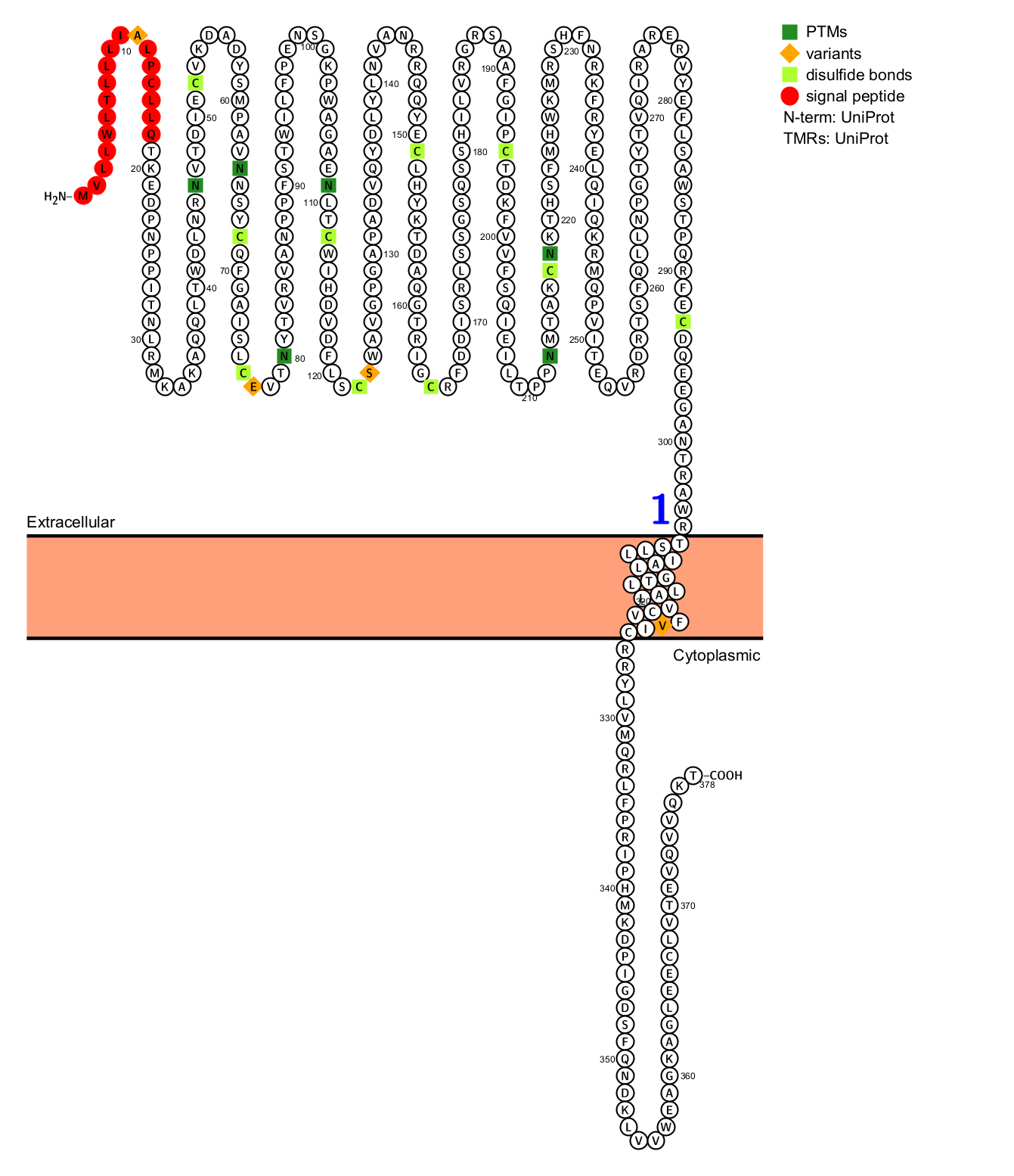 CD123 is a therapeutic target for blood diseases