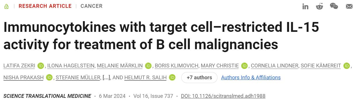 CD19 CD20 antibody fusion IL-15 protein dual targeted therapy for B-cell malignancies