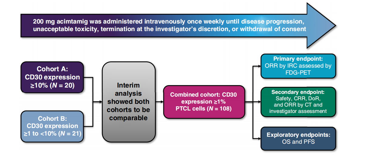 CD30 is a therapeutic target for lymphoma CD30 is a therapeutic target for lymphoma