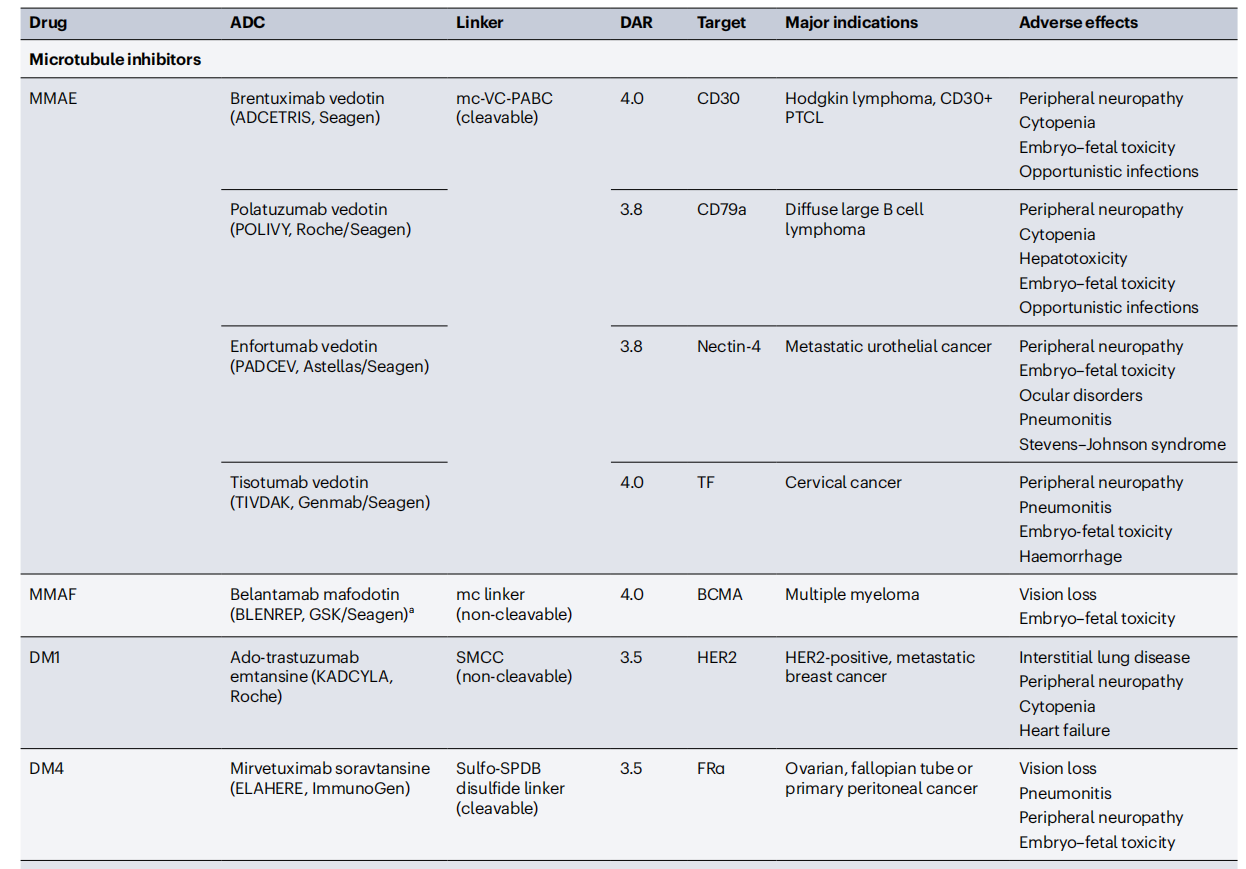 Cancer therapy with antibodies Cancer therapy with antibodies