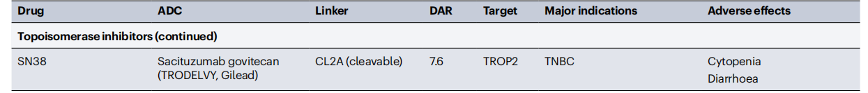 Cancer therapy with antibodies Cancer therapy with antibodies