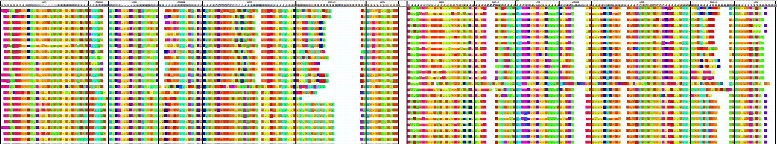 案例:一个兔单克隆中和抗体的诞生 案例:一个兔单克隆中和抗体的诞生