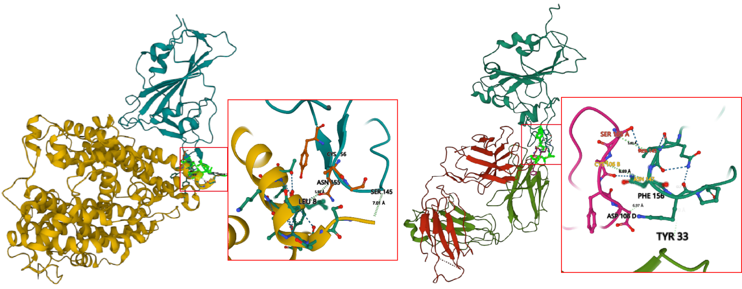 案例:一个兔单克隆中和抗体的诞生 案例:一个兔单克隆中和抗体的诞生