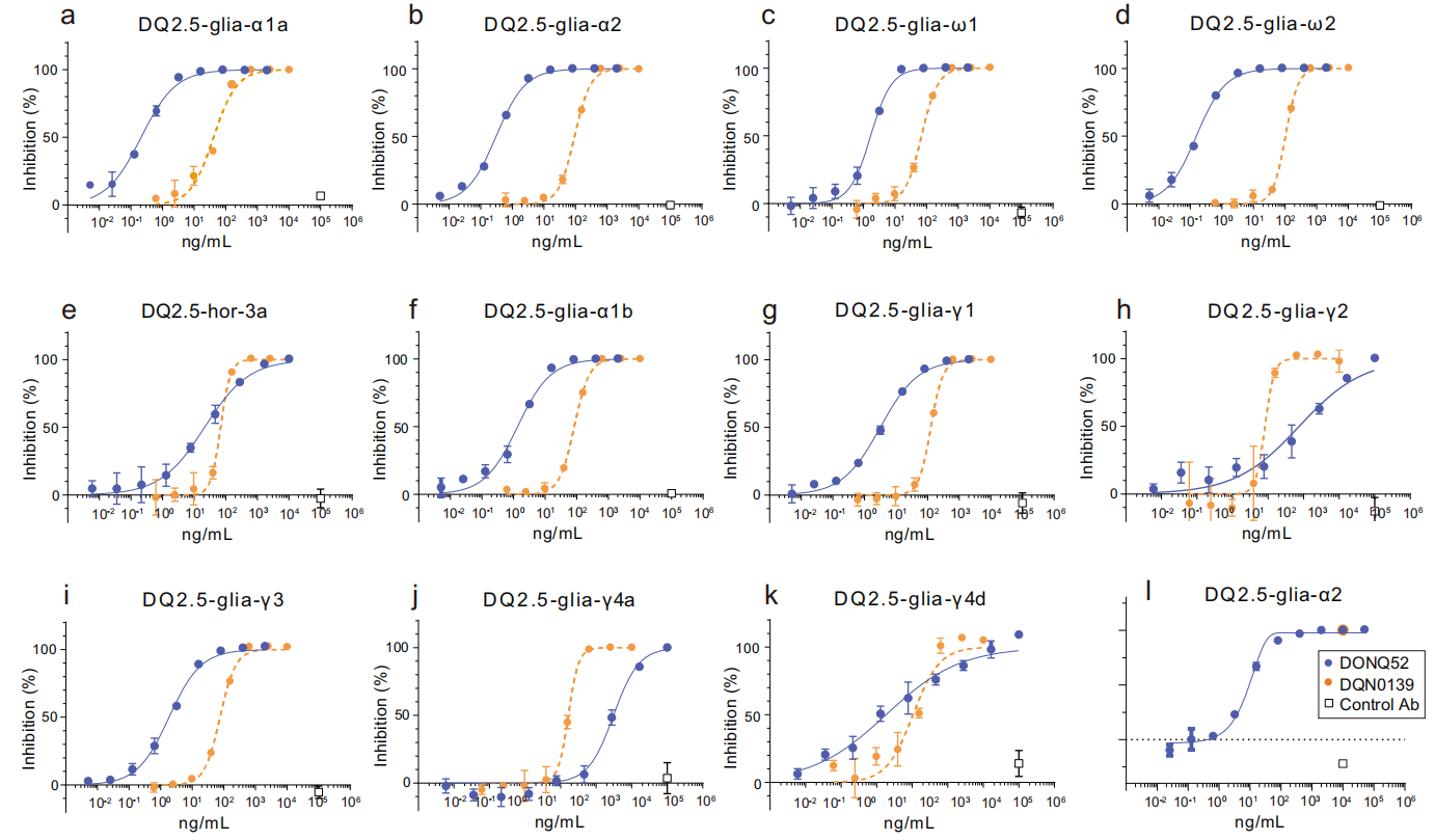 Characterization of neutralizing antibodies of broad spectrum glutenopeptide HLA-DQ2.5 complex