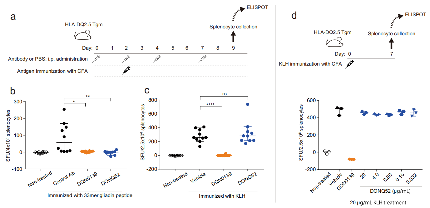 Characterization of neutralizing antibodies of broad spectrum glutenopeptide HLA-DQ2.5 complex