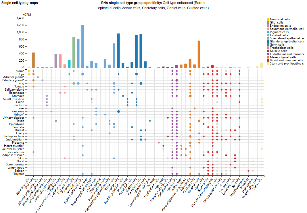 Coagulation pathway promoter CD142 Coagulation pathway promoter CD142