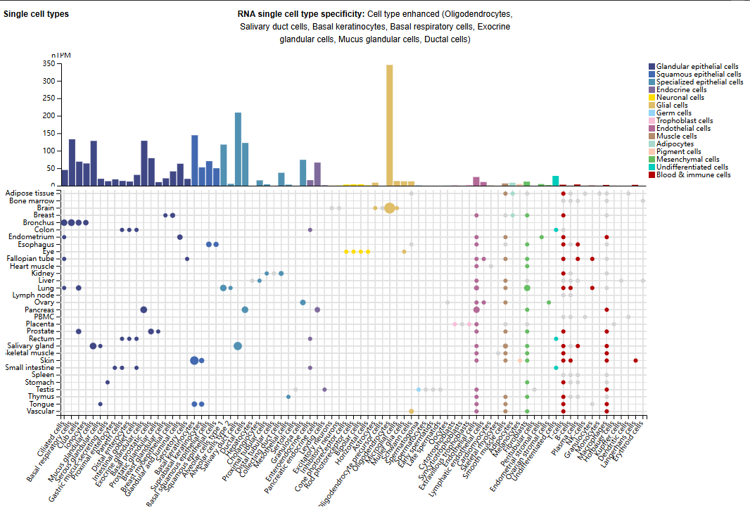 Collagen recognizes the integrin ITGA2 Collagen recognizes the integrin ITGA2