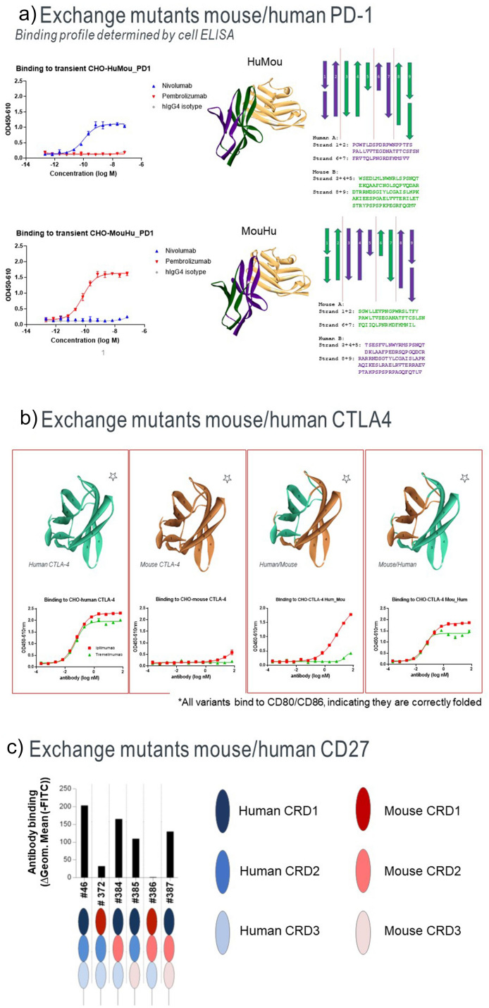 Comparison of mapping techniques of different antibody epitopes
