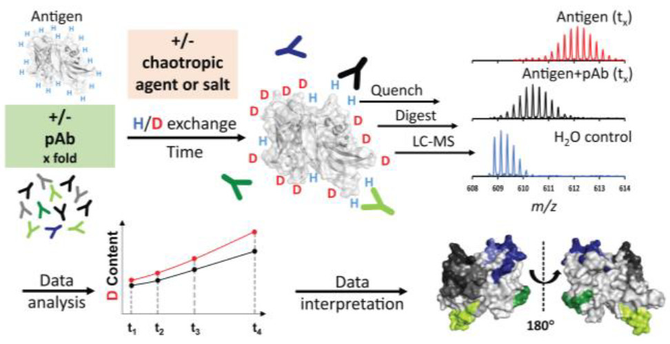 Comparison of mapping techniques of different antibody epitopes