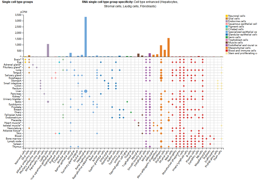 Complement Cascade Initiator C1s