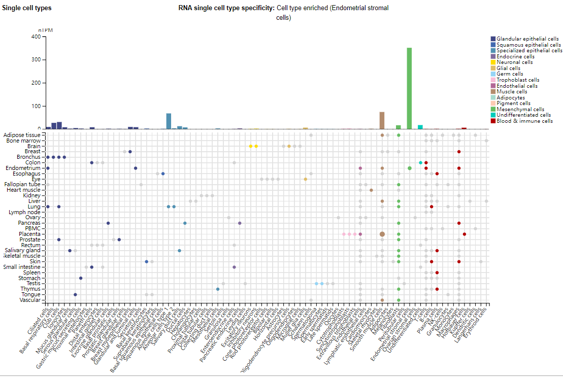 DKK1 is the core accomplicker of tumor immune escape DKK1 is the core accomplicker of tumor immune escape