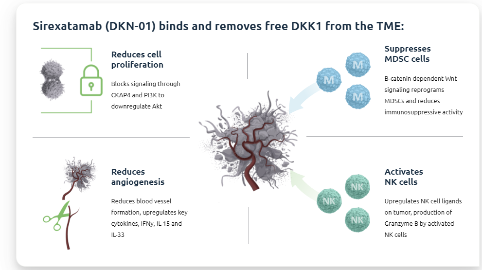 DKK1 is the core accomplicker of tumor immune escape DKK1 is the core accomplicker of tumor immune escape