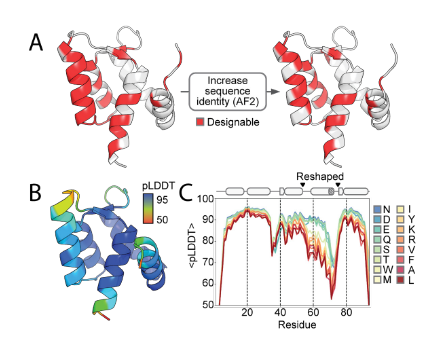Deep learning guided design of dynamic proteins Deep learning guided design of dynamic proteins