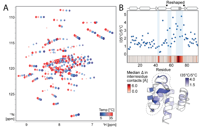 Deep learning guided design of dynamic proteins Deep learning guided design of dynamic proteins
