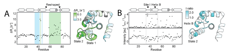 Deep learning guided design of dynamic proteins Deep learning guided design of dynamic proteins