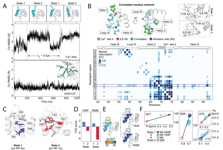 Deep learning guided design of dynamic proteins Deep learning guided design of dynamic proteins