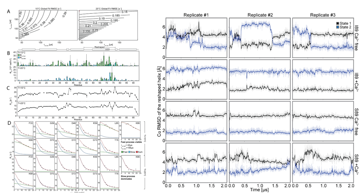 Deep learning guided design of dynamic proteins Deep learning guided design of dynamic proteins