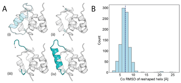 Deep learning guided design of dynamic proteins Deep learning guided design of dynamic proteins