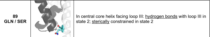 Deep learning guided design of dynamic proteins Deep learning guided design of dynamic proteins
