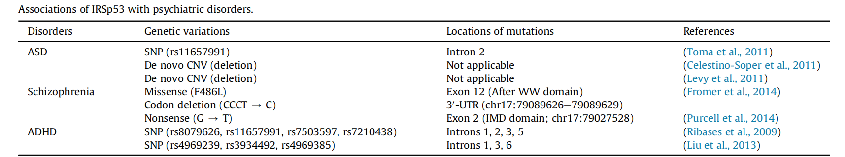 Dendritic spine morphological regulator BAIAP2 Dendritic spine morphological regulator BAIAP2