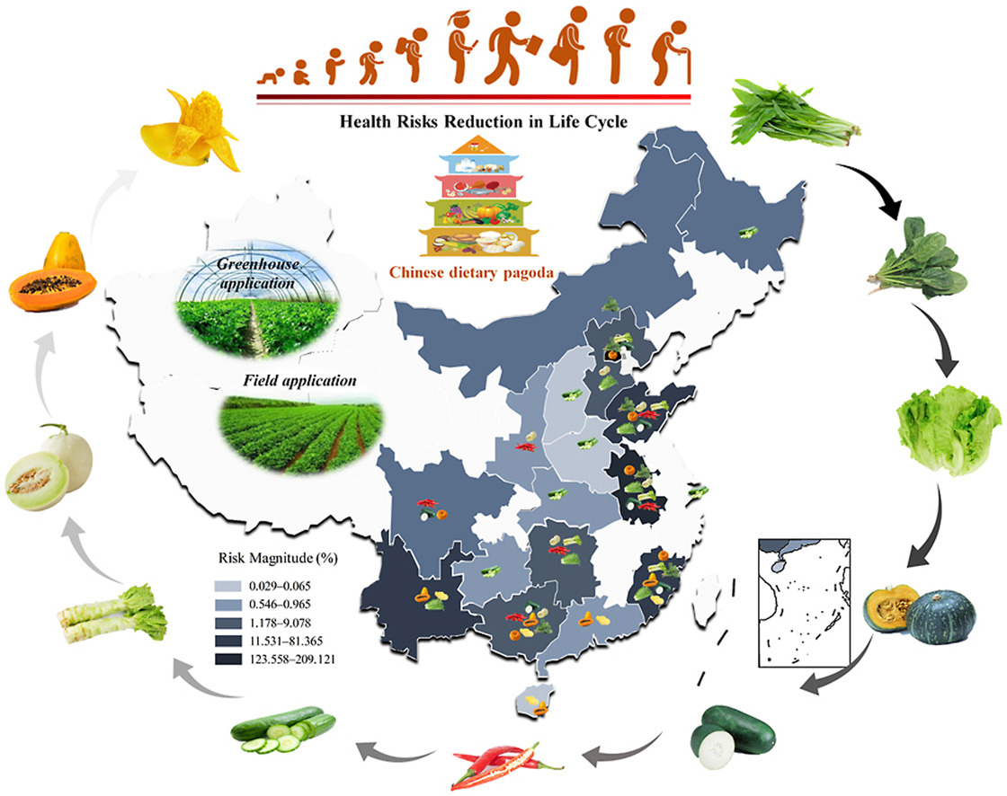 Detection of small molecule ethylpyrimol residues in agricultural products and environment