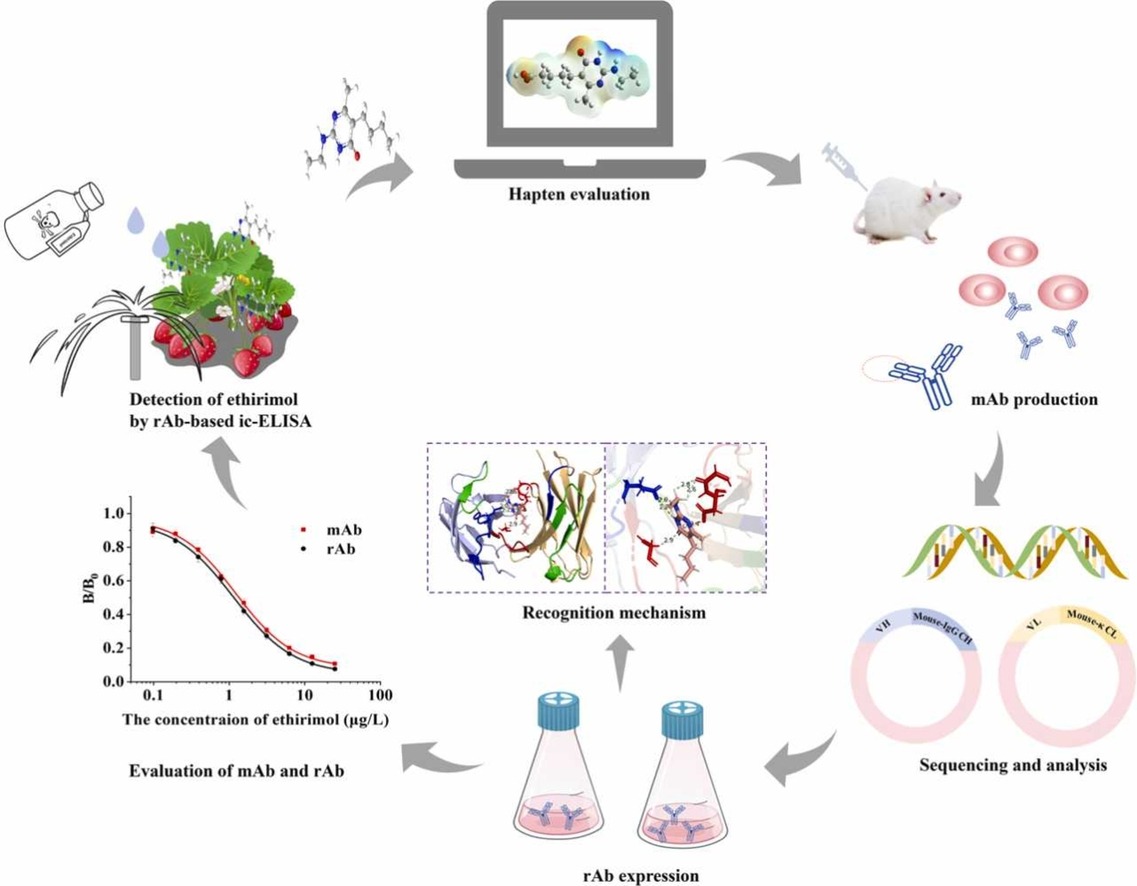 Detection of small molecule ethylpyrimol residues in agricultural products and environment