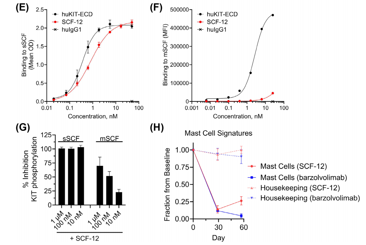 Dual inhibition of a novel bispecific antibody CDX-622