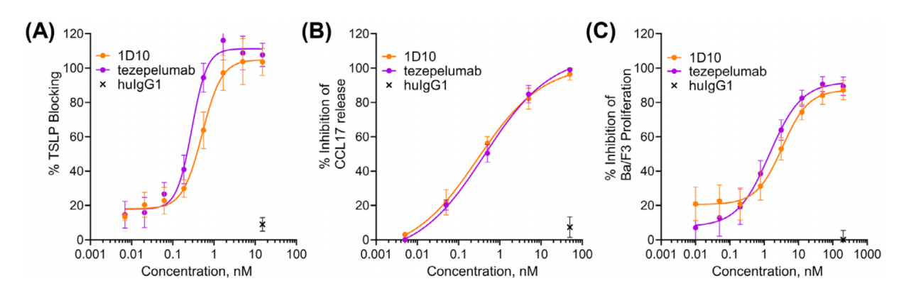 Dual inhibition of a novel bispecific antibody CDX-622