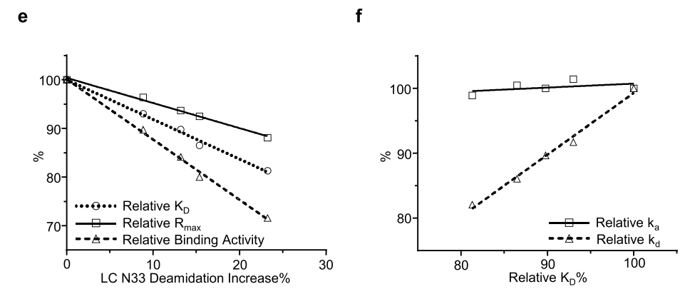 Early determination of potential critical quality attributes of therapeutic antibodies in developability studies through surface plasmon resonance based relative binding activity assessment