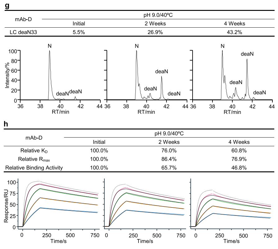 Early determination of potential critical quality attributes of therapeutic antibodies in developability studies through surface plasmon resonance based relative binding activity assessment