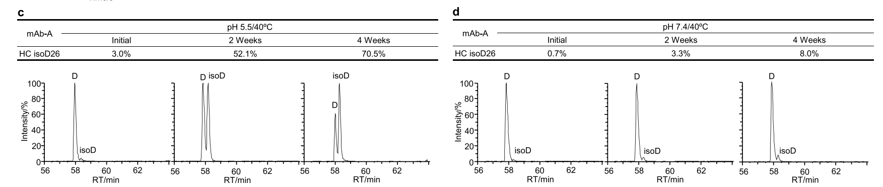 Early determination of potential critical quality attributes of therapeutic antibodies in developability studies through surface plasmon resonance based relative binding activity assessment