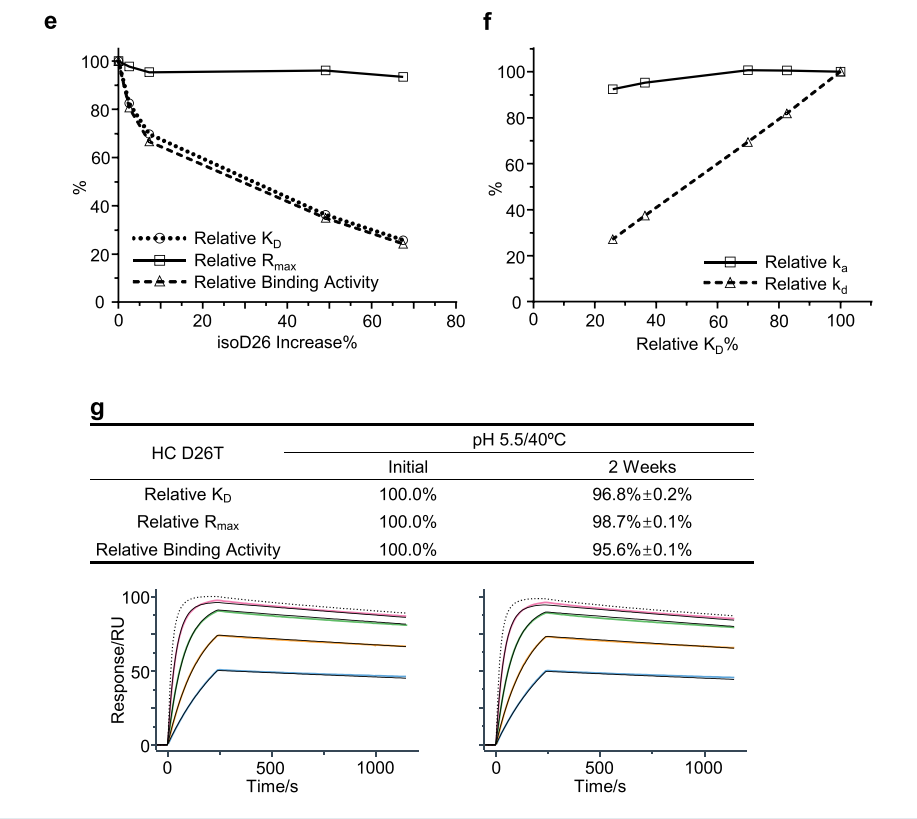 Early determination of potential critical quality attributes of therapeutic antibodies in developability studies through surface plasmon resonance based relative binding activity assessment