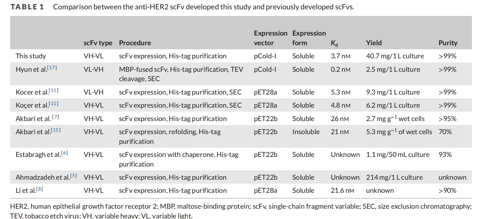 Efficient generation of recombinant anti-HER2 scFv with high yield and purity