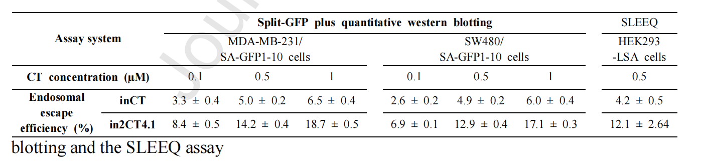 Engineering IgG antibodies for intracellular targeting and drug delivery Engineering IgG antibodies for intracellular targeting and drug delivery