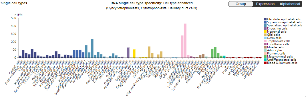 Epidermal growth factor receptor EGFR