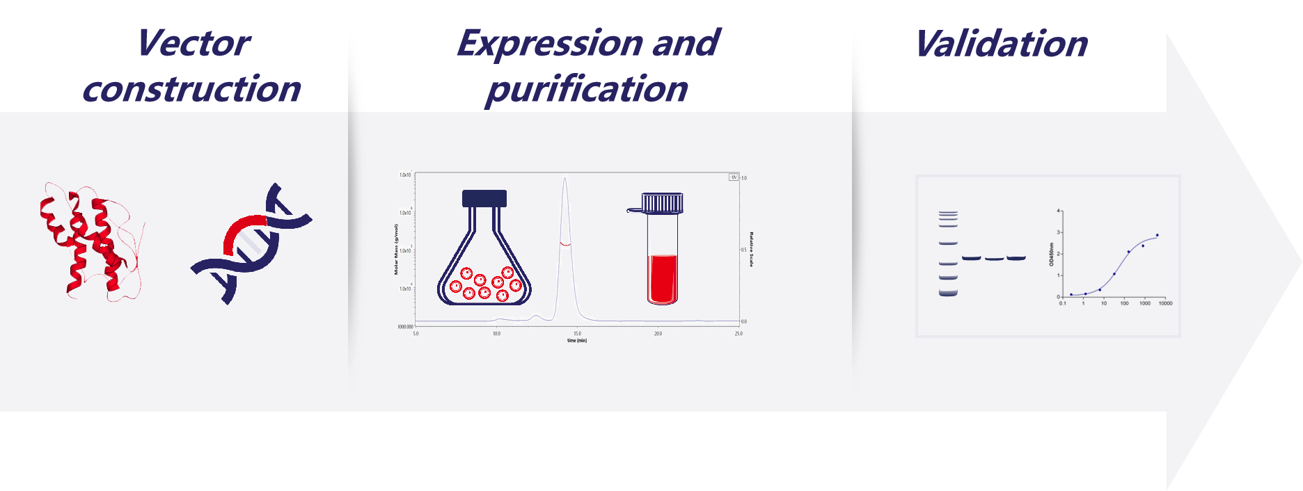 Protein Services Protein Services